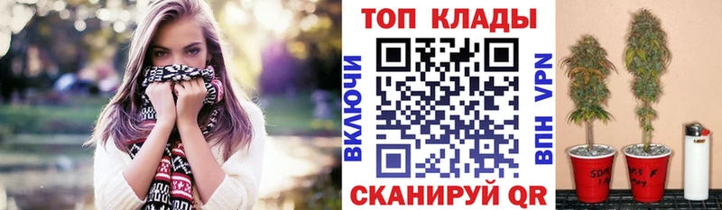 НБОМе Бородино