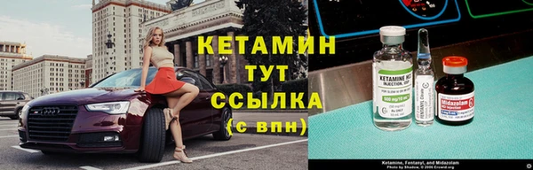 стаф Пестово