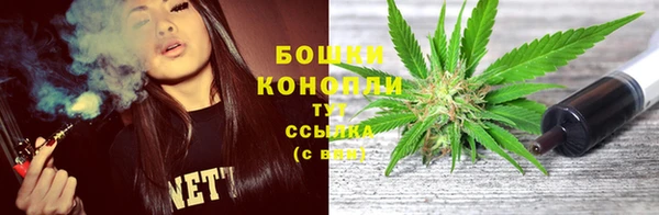 не бодяженный Пересвет