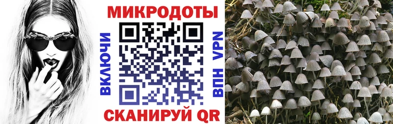 Псилоцибиновые грибы GOLDEN TEACHER  Бородино 