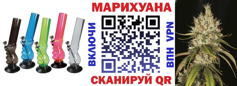 Конопля гибрид Бородино